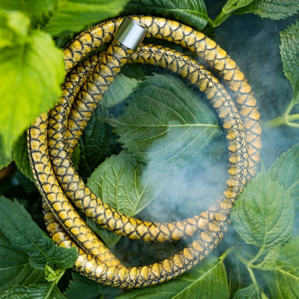 Hose / Pipe Snake - Yellow Python