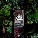 Coconat Charcoal COCOLOCO Minipack 25mm - 12 Cubes Coconat Charcoal COCOLOCO Minipack 25mm - 12 Cubes
