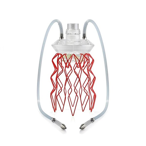 Hookah Medusa - Aurita Duality Large (Red, Nautila, MED1) Hookah Medusa - Aurita Duality Large (Red, Nautila, MED1)