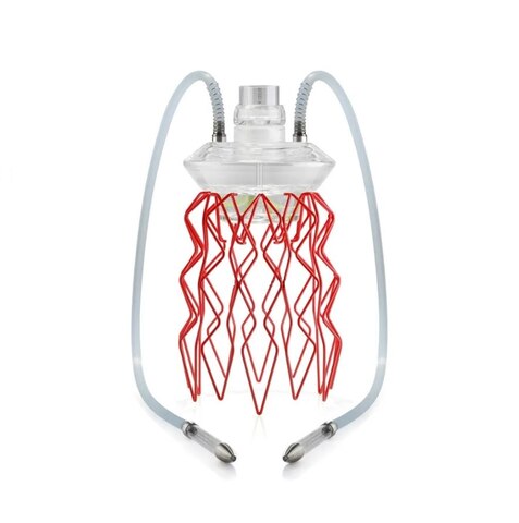 Hookah Medusa - Aurita Duality Large (Red, Nautila, MED1)