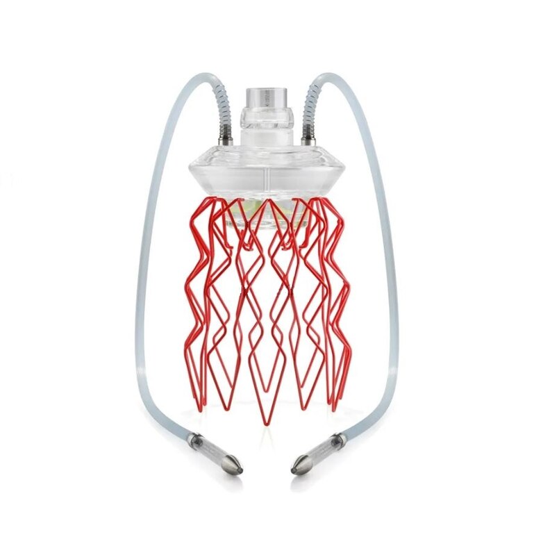 Hookah Medusa - Aurita Duality Large (Red, Nautila, MED1)