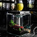 Hookah Hoob - Atom (Gray / SS components / Transparent Flask)