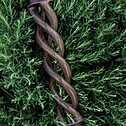 Hookah Snake Shisha Triple Spiral Purple Walnut