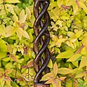 Hookah Snake Shisha Triple Spiral Wenge